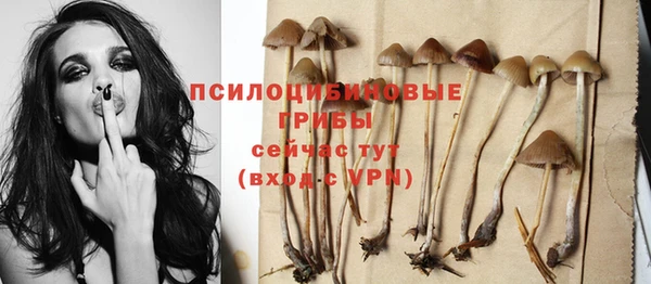 прущие грибы Зерноград
