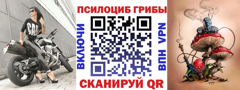 Псилоцибиновые грибы мицелий  где найти   Чаплыгин 