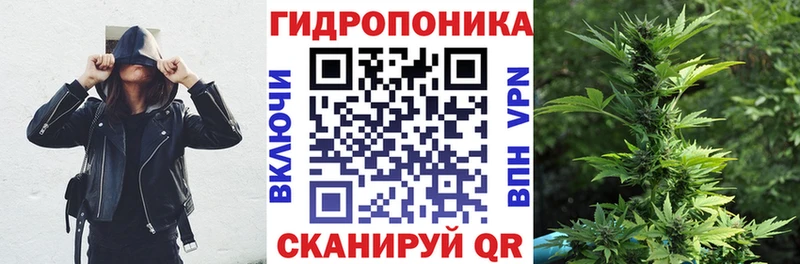 Конопля конопля Чаплыгин